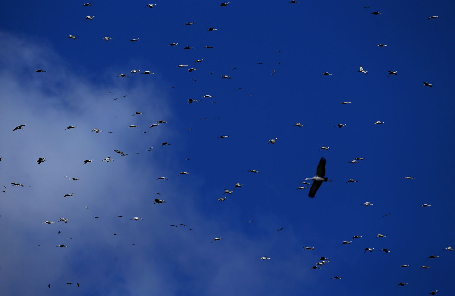 2018 Wings over Willcox